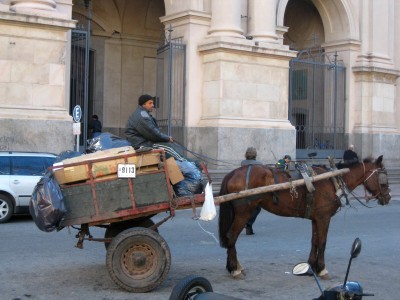 argentinien_originale 157.jpg